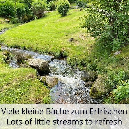 Auszeit Apartment Black Forest Schonach im Schwarzwald Eksteriør billede