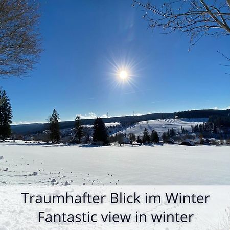 Auszeit Apartment Black Forest Schonach im Schwarzwald Eksteriør billede