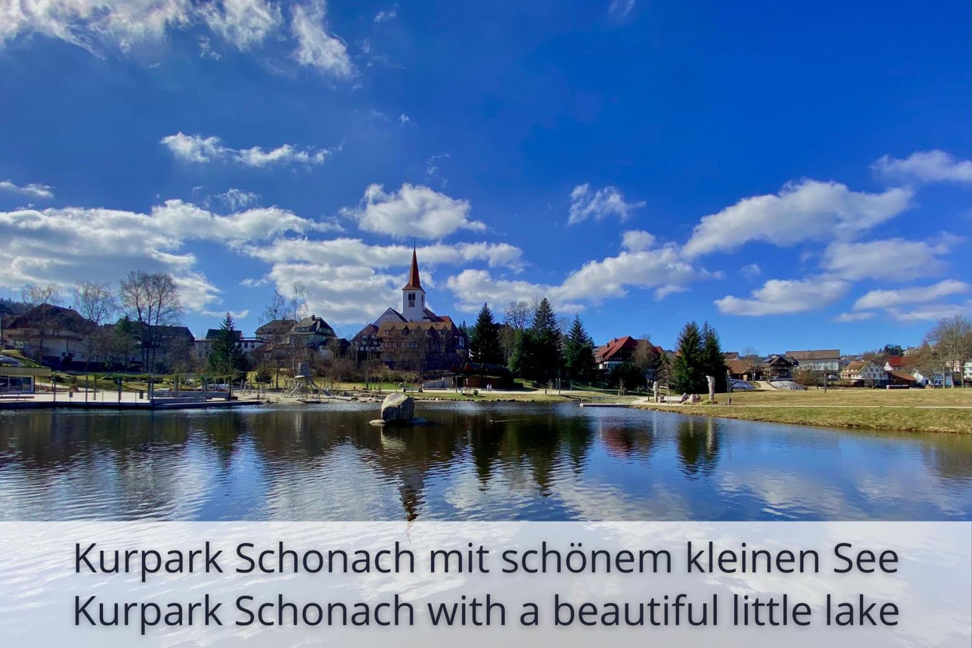 Auszeit Apartment Black Forest Schonach im Schwarzwald Eksteriør billede