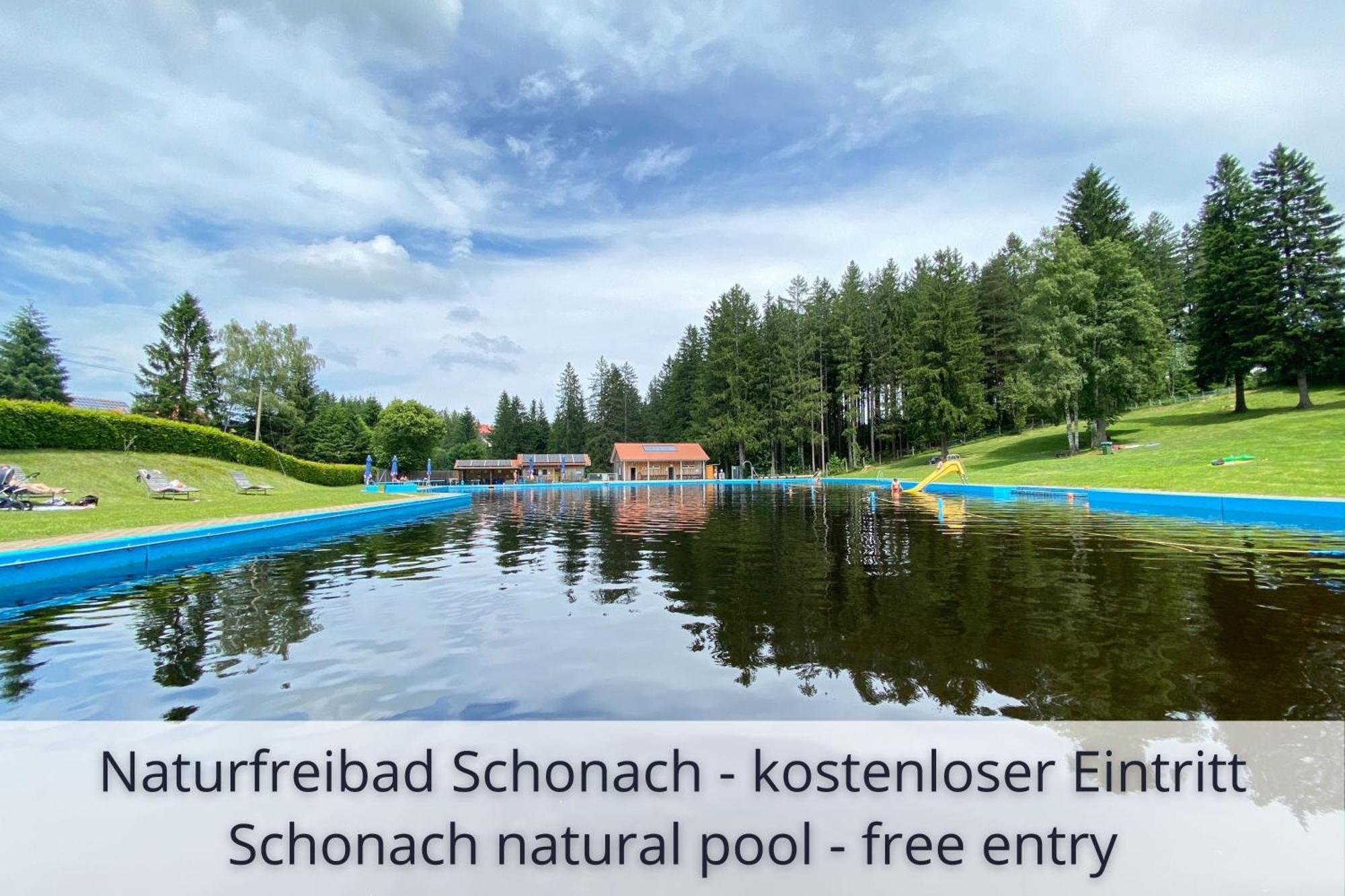 Auszeit Apartment Black Forest Schonach im Schwarzwald Eksteriør billede