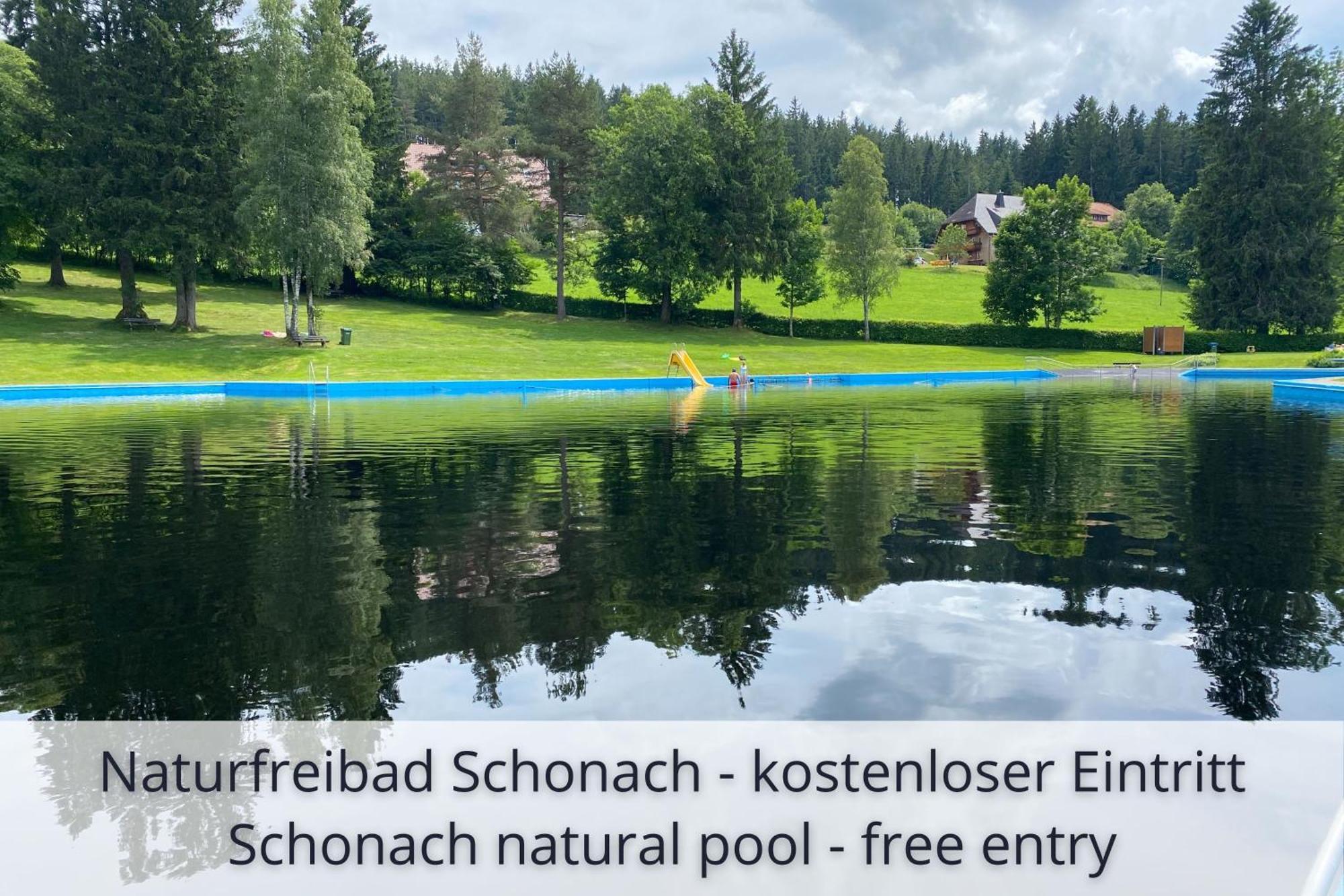 Auszeit Apartment Black Forest Schonach im Schwarzwald Eksteriør billede