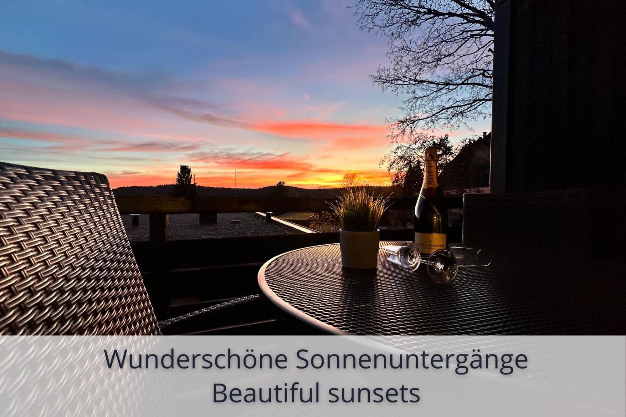 Auszeit Apartment Black Forest Schonach im Schwarzwald Eksteriør billede