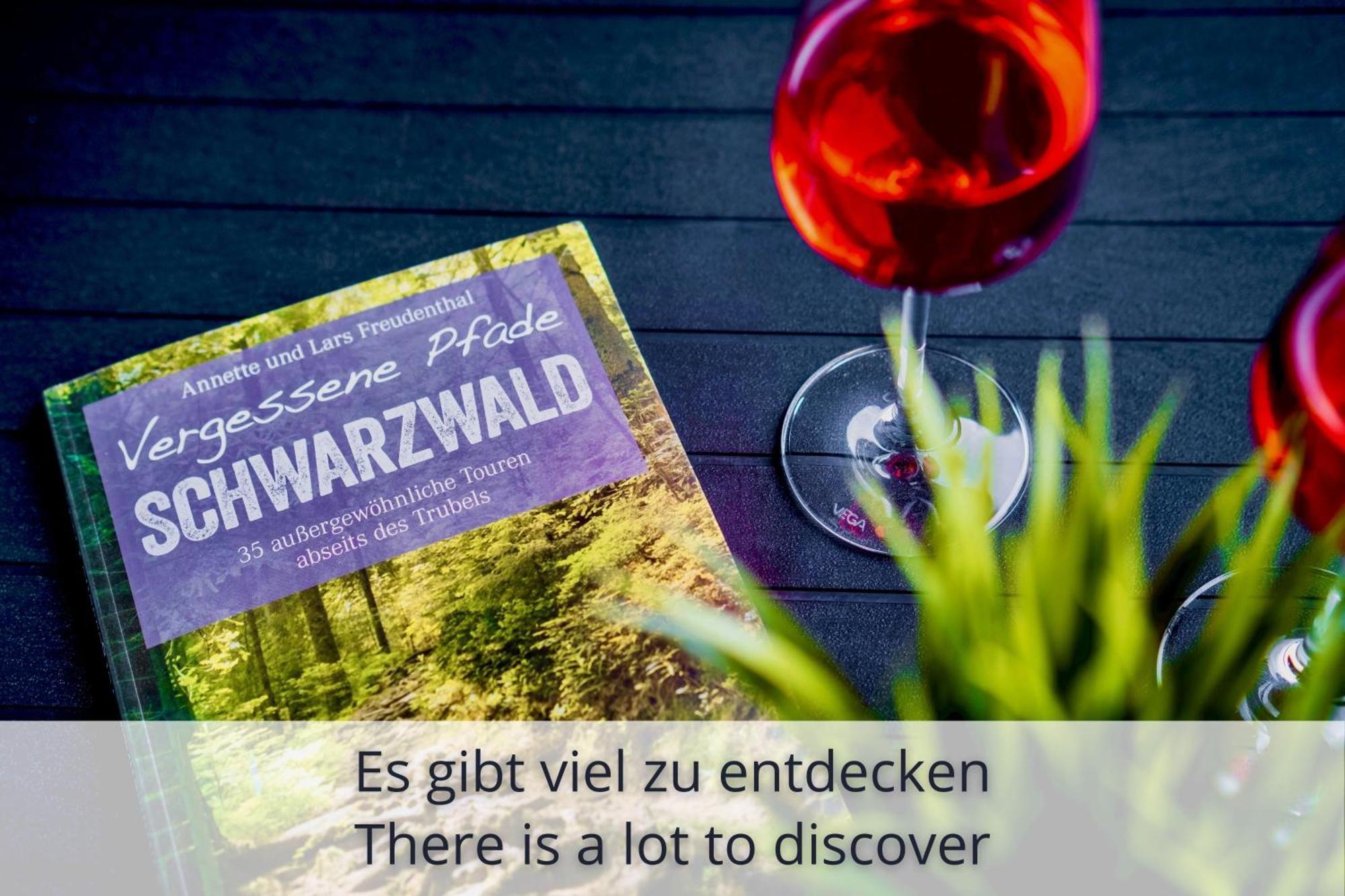 Auszeit Apartment Black Forest Schonach im Schwarzwald Eksteriør billede