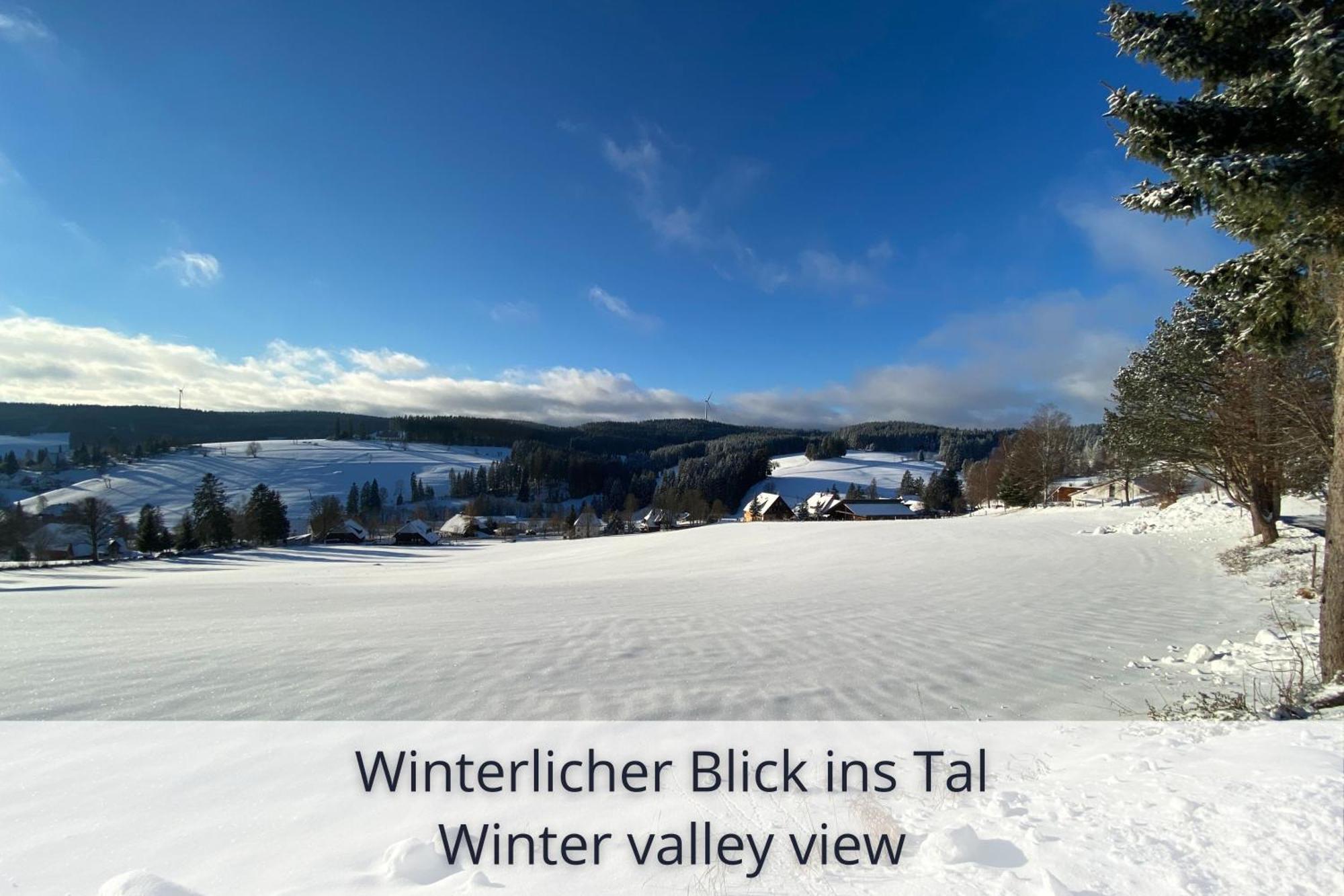 Auszeit Apartment Black Forest Schonach im Schwarzwald Eksteriør billede