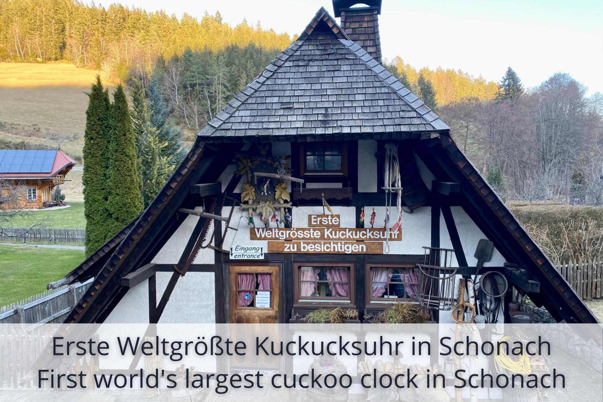 Auszeit Apartment Black Forest Schonach im Schwarzwald Eksteriør billede