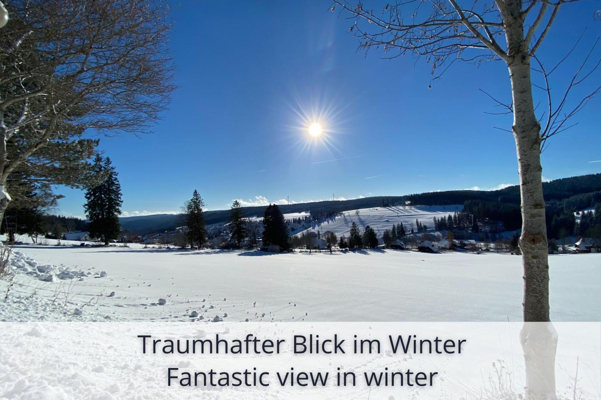 Auszeit Apartment Black Forest Schonach im Schwarzwald Eksteriør billede