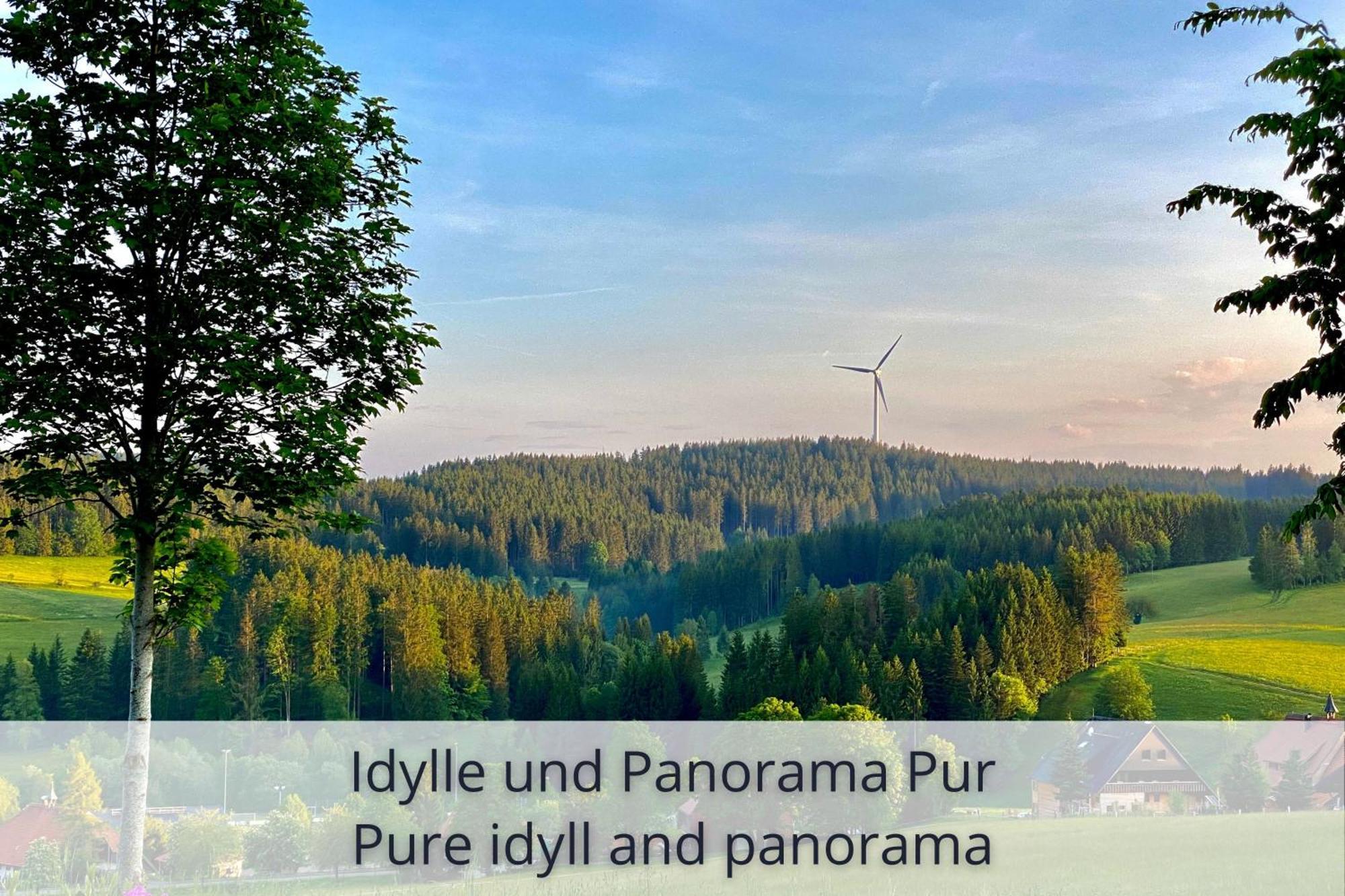 Auszeit Apartment Black Forest Schonach im Schwarzwald Eksteriør billede