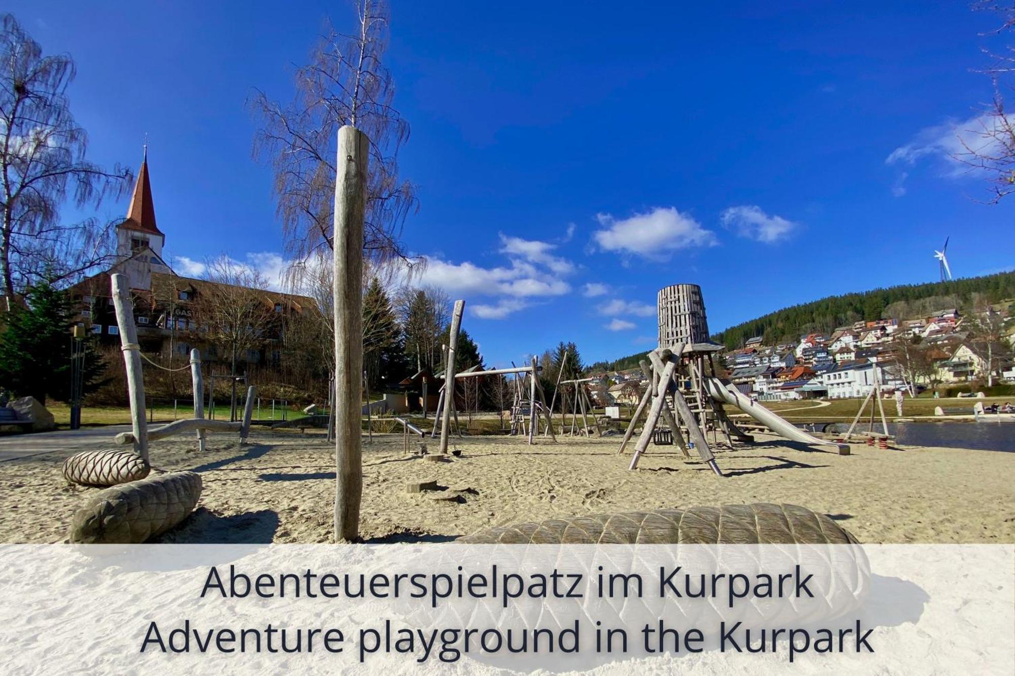 Auszeit Apartment Black Forest Schonach im Schwarzwald Eksteriør billede