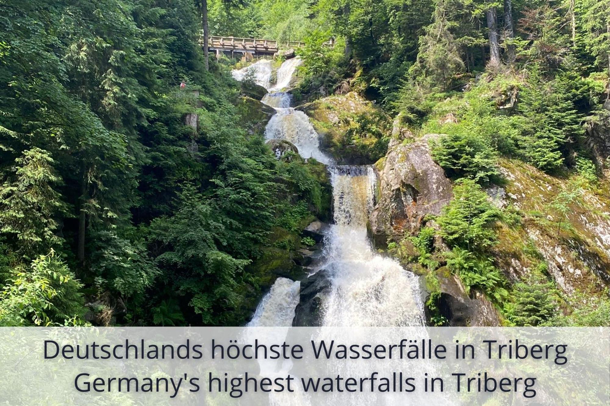 Auszeit Apartment Black Forest Schonach im Schwarzwald Eksteriør billede